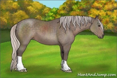 Horse Color:Silver Black 