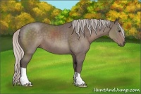Horse Color:Silver Black 