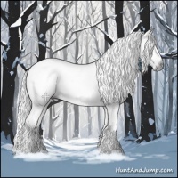 Horse Color:Gray Midnight Black 