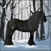 Horse Color:Void Midnight Black 