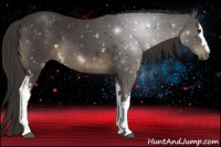 Horse Color:White Spotted Smoky Black