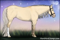 Horse Color:Silver Amber Cream Champagne Dun