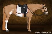 Horse Color:Chestnut Frame 