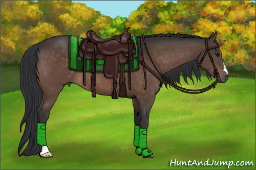 Horse Color:Brown 