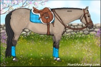 Horse Color:Bay Dun
