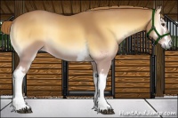 Horse Color:White Spotted Red Onyx 