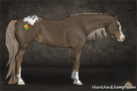 Horse Color:Chocolate Palomino Sabino Appaloosa 