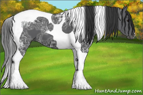 Horse Color:Black Ice Tobiano 