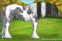 Horse Color:Black Ice Tobiano