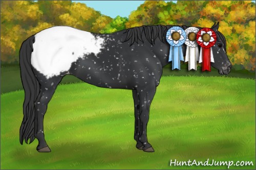 Horse Color:Black Snowcap