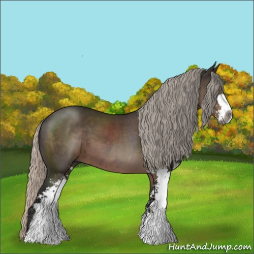 Horse Color:Gray Silver Black Sabino