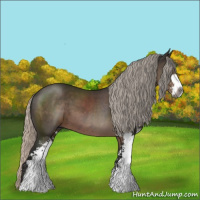 Horse Color:Gray Silver Black Sabino 