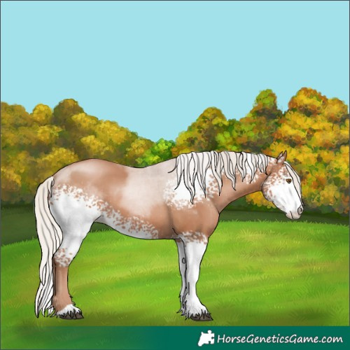 Horse Color:White Spotted Silver Black Pearl 