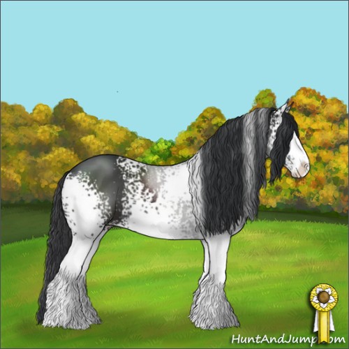 Horse Color:White Spotted Black Sabino 