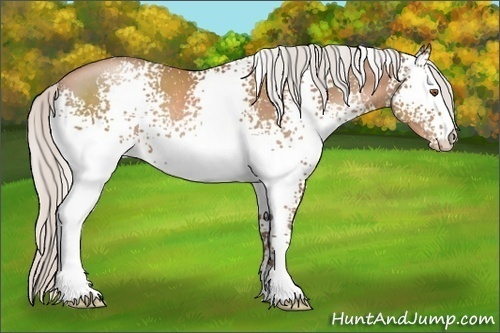 Horse Color:White Spotted Silver Black Pearl 