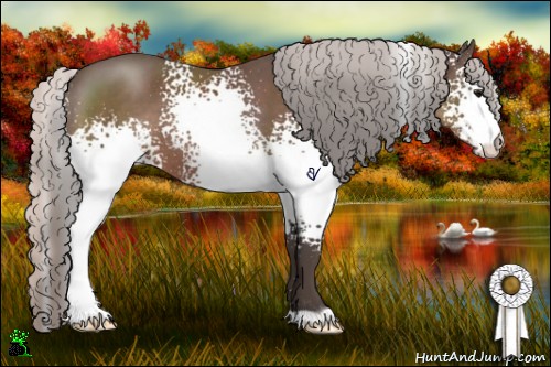 Horse Color:White Spotted Silver Black 