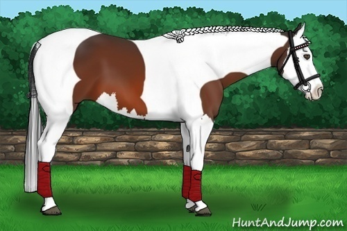 Horse Color:Bay Splash Tobiano