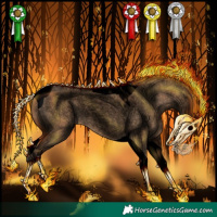 Horse Color:Void Bay Roan Dun Tobiano 