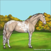 Horse Color:Silver Brown Dun Sabino Splash Tobiano