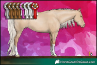 Horse Color:Silver Grullo Pearl 