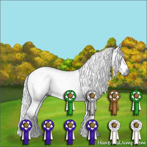 Horse Color:Gray White Spotted Silver Black Sabino 