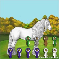 Horse Color:Gray White Spotted Silver Black Sabino 