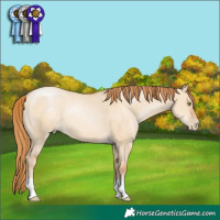 Horse Color:Red Dun Pearl 