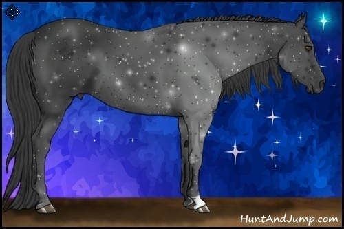 Horse Color:Smoky Black 