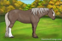 Horse Color:Silver Black