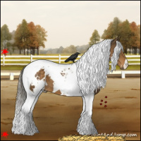 Horse Color:White Spotted Chocolate Palomino Tobiano 