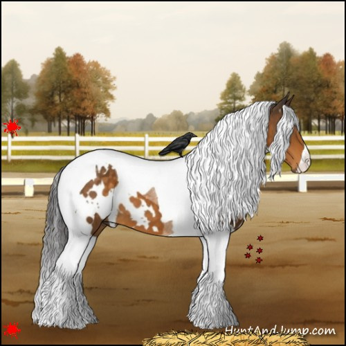 Horse Color:White Spotted Buckskin Tobiano 
