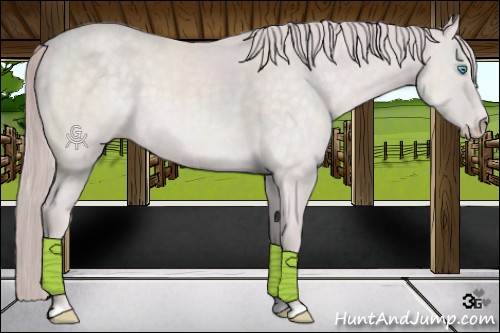 Horse Color:Platinum Chocolate Perlino 