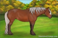 Horse Color:Silver Brown 