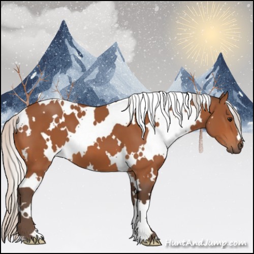 Horse Color:White Spotted Silver Bay 