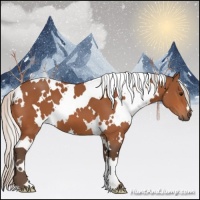 Horse Color:White Spotted Silver Bay 