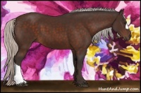 Horse Color:Silver Brown 