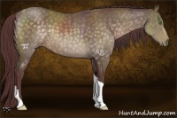Horse Color:Platinum Chocolate Buckskin 