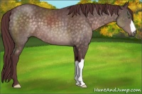 Horse Color:Platinum Chocolate Buckskin 