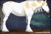 Horse Color:White Spotted Buckskin