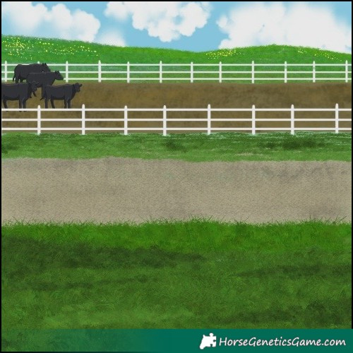 Horse Color:Platinum Chocolate Brown 