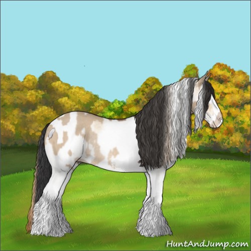 Horse Color:Bay Dun Splash Rabicano  and White Spotted Red Dun 