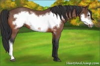 Horse Color:Brown Roan Frame