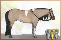 Horse Color:Brown Dun Tobiano 