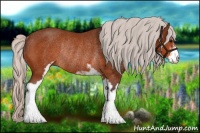 Horse Color:Silver Bay Sabino Rabicano