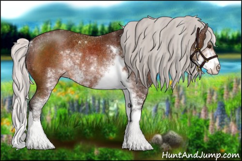 Horse Color:Silver Brown Sabino Rabicano 