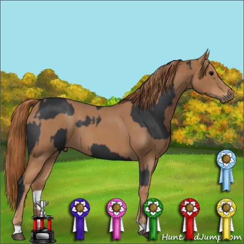 Horse Color:Black Sabino  and Red Roan 