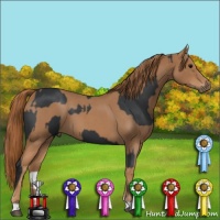 Horse Color:Black Sabino  and Red Roan 