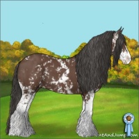 Horse Color:Bay Sabino 