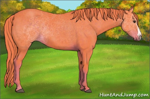Horse Color:Watercolor Liver Chestnut 