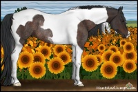 Horse Color:Brown Tobiano Rabicano